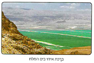 (בספר תמונה, היעזר במנחה)